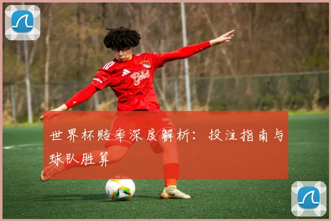 世界杯赔率深度解析：投注指南与球队胜算